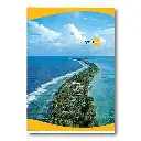 Navneet Youva | Long Book | Soft Bound/Soft cover Notebook for Students | A4 size - 21 cm X 29.7 cm | Single line/ Pack of 6 Notebook